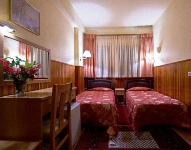 Ξενοδοχείο Μπιτούνη Μέτσοβο Δωμάτιο φωτογραφία